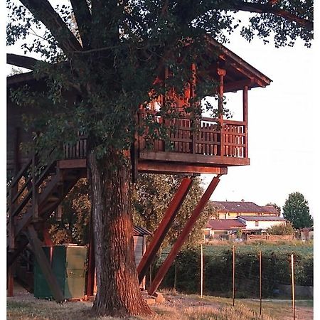 La Casa Sull'Albero Oasi Certosa Di Pavia Villa Borgarello Exteriör bild