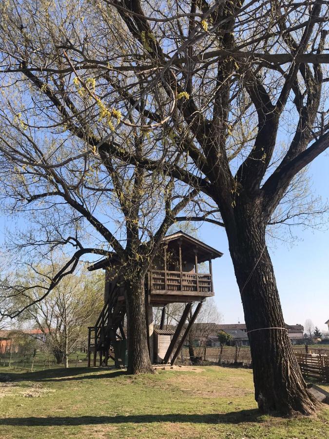 La Casa Sull'Albero Oasi Certosa Di Pavia Villa Borgarello Exteriör bild