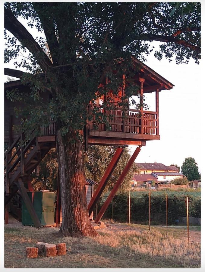 La Casa Sull'Albero Oasi Certosa Di Pavia Villa Borgarello Exteriör bild