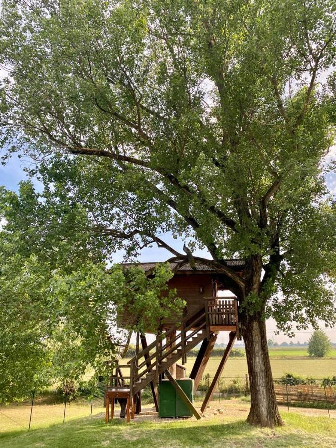 La Casa Sull'Albero Oasi Certosa Di Pavia Villa Borgarello Exteriör bild