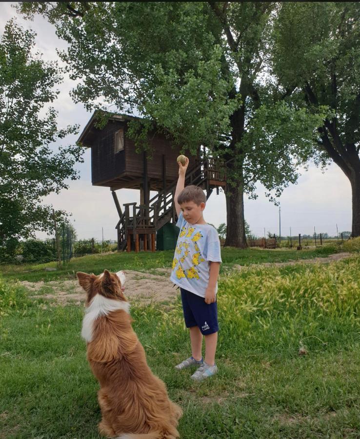 La Casa Sull'Albero Oasi Certosa Di Pavia Villa Borgarello Exteriör bild