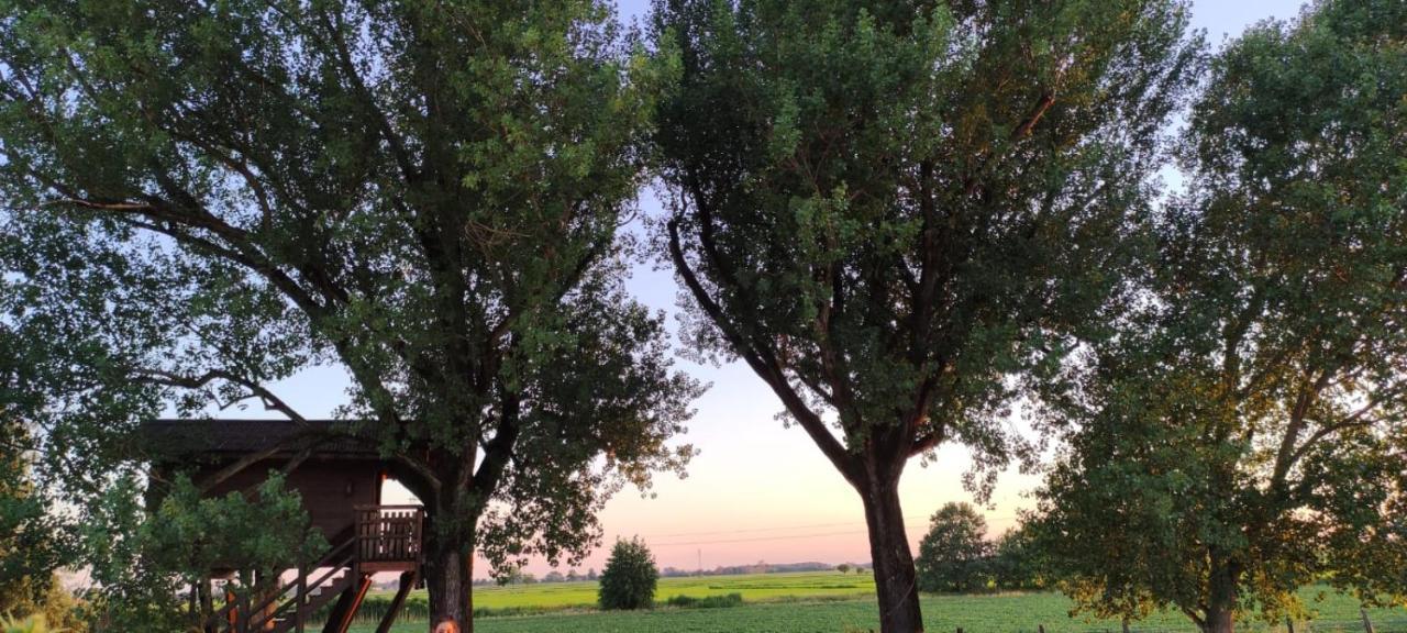 La Casa Sull'Albero Oasi Certosa Di Pavia Villa Borgarello Exteriör bild