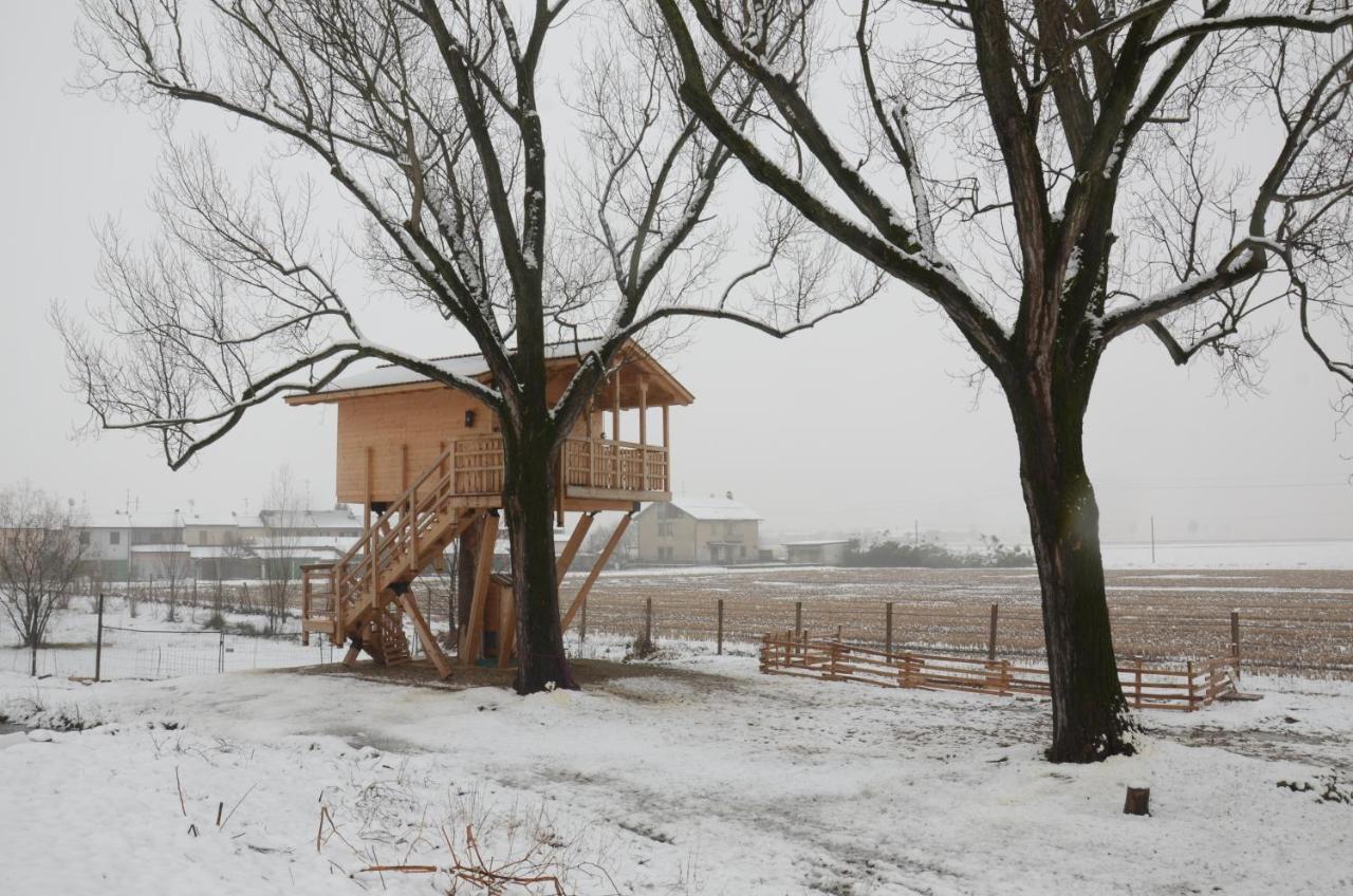 La Casa Sull'Albero Oasi Certosa Di Pavia Villa Borgarello Exteriör bild