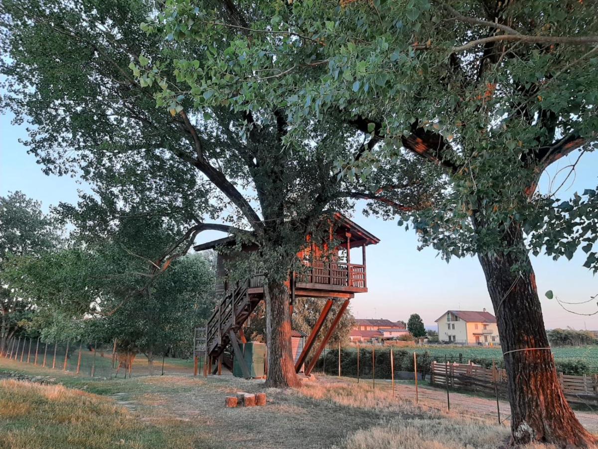 La Casa Sull'Albero Oasi Certosa Di Pavia Villa Borgarello Exteriör bild