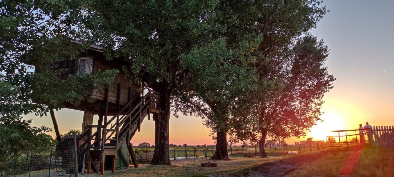 La Casa Sull'Albero Oasi Certosa Di Pavia Villa Borgarello Exteriör bild